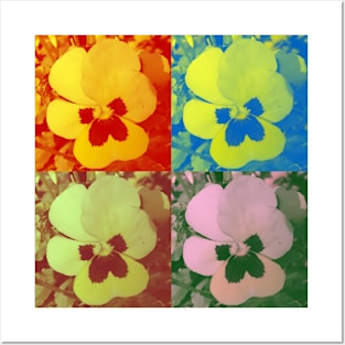 Pansy Pop Art Posters and Art